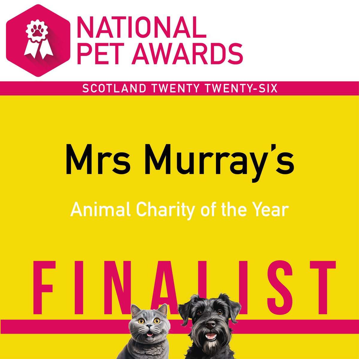 mrsmurrays's tweet photo. Voting open in National Pet Awards - Scotland!
We would be delighted if you could pop a vote in for us as Animal Charity of the Year &amp; for our Manager Marie for Local Pet Hero  📷
Voting closes Wednesday 1st April 12noon!
https://t.co/f5V8VF7ghz https://t.co/DOStQnAg48