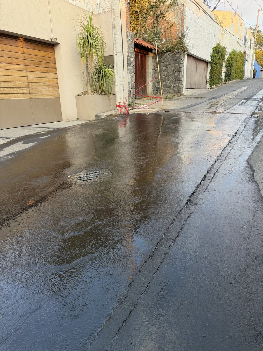 Gabriela Gonzalez Pu tweet media