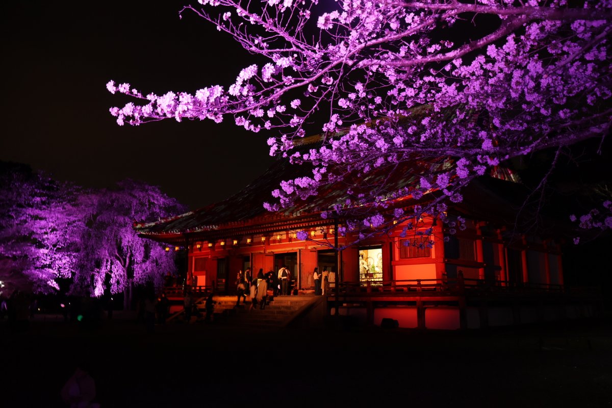 ひより tweet media