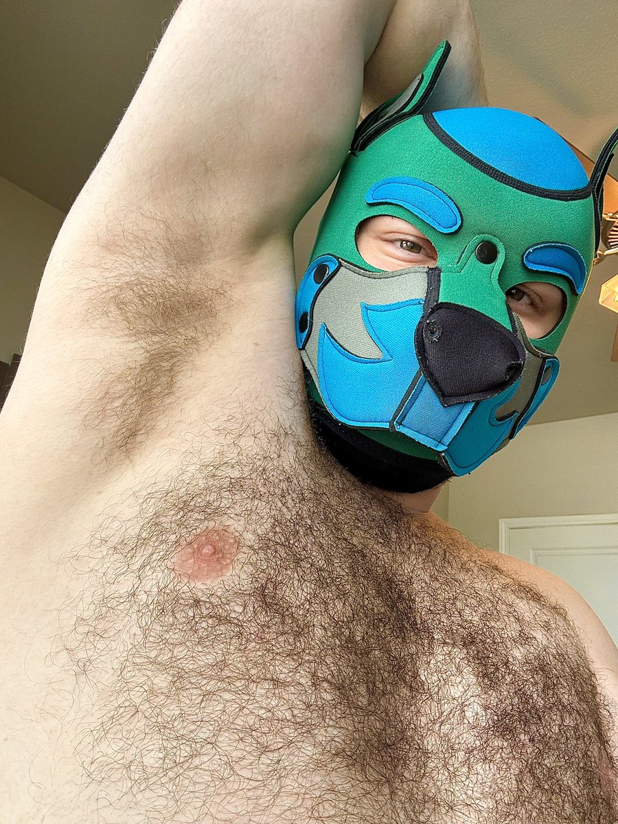 Pup Apollo 🔜 AKW tweet media