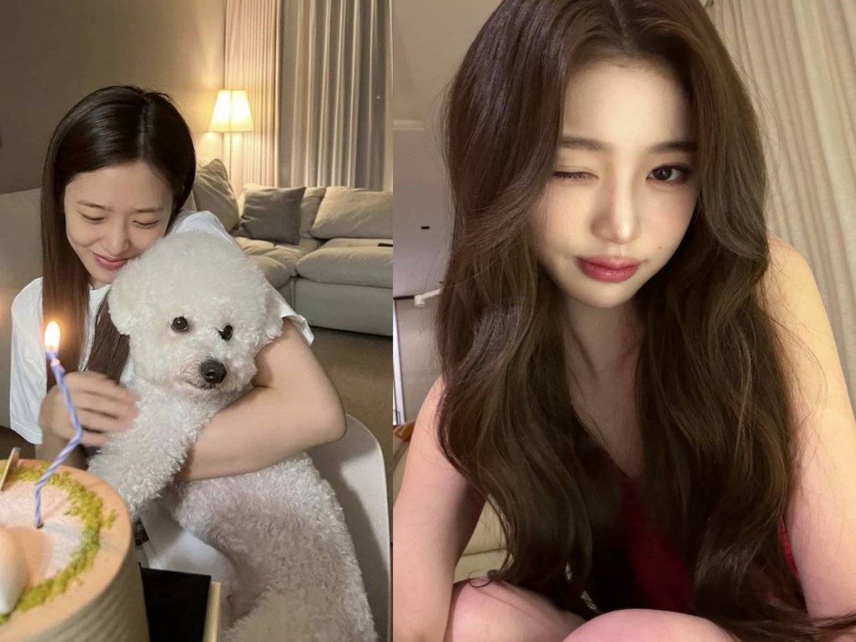 Kai/カイ tweet media