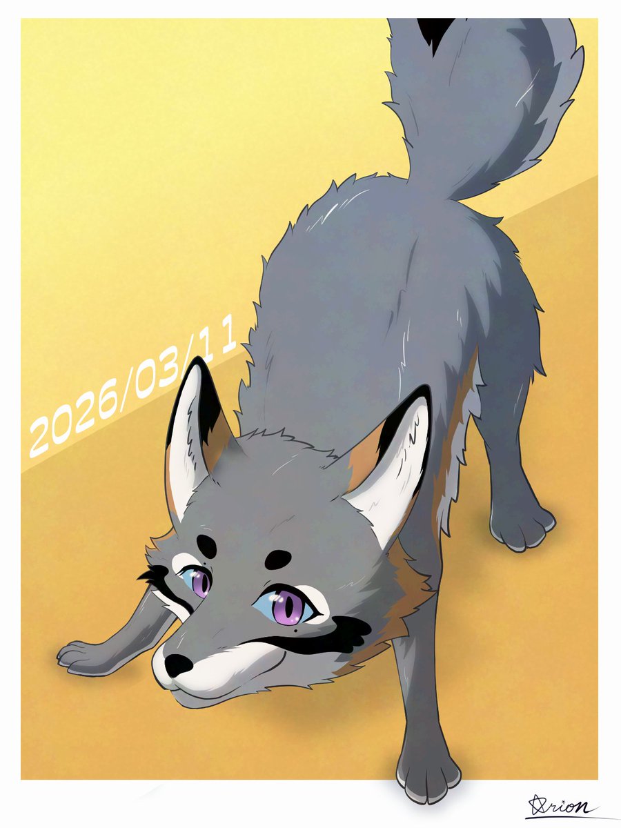 オリオン_本店 tweet media