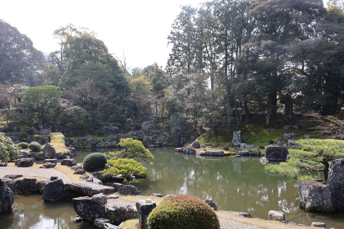 ひより tweet media