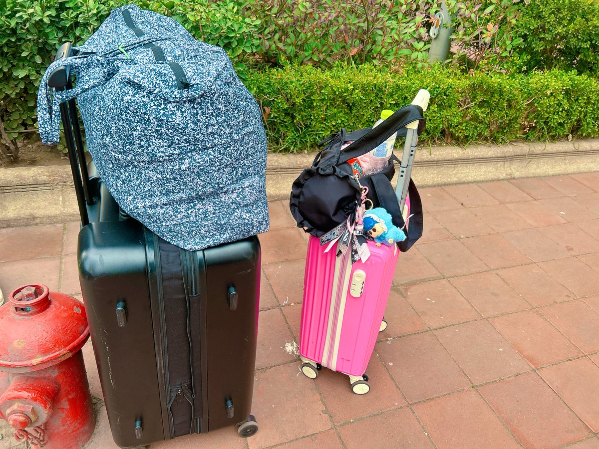 이리리 tweet media