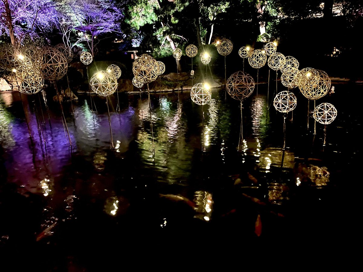 木下彩 tweet media