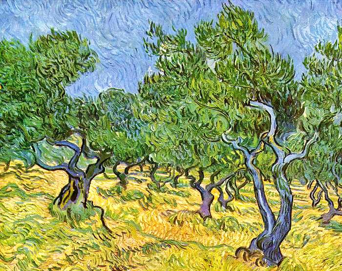 Carmela Cusmai tweet media