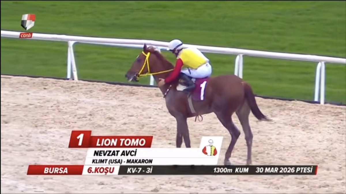 semih katı tweet media