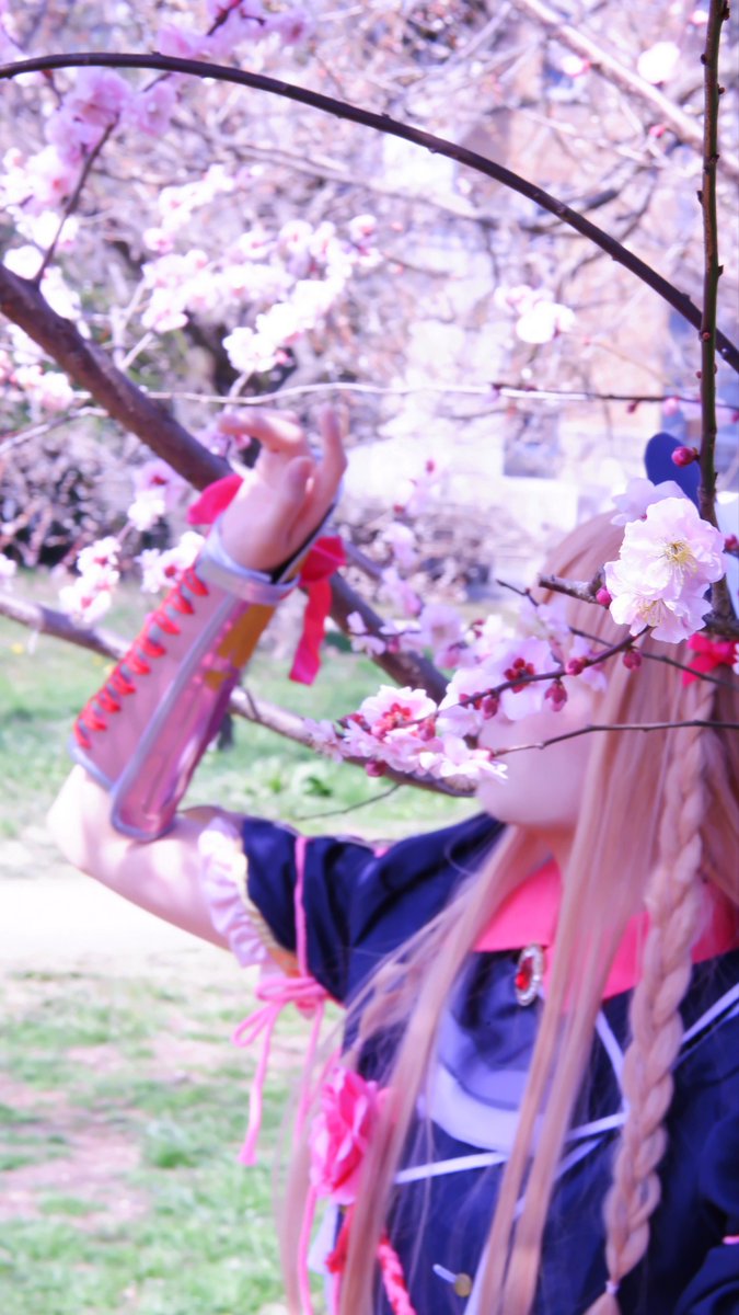 ことりり tweet media