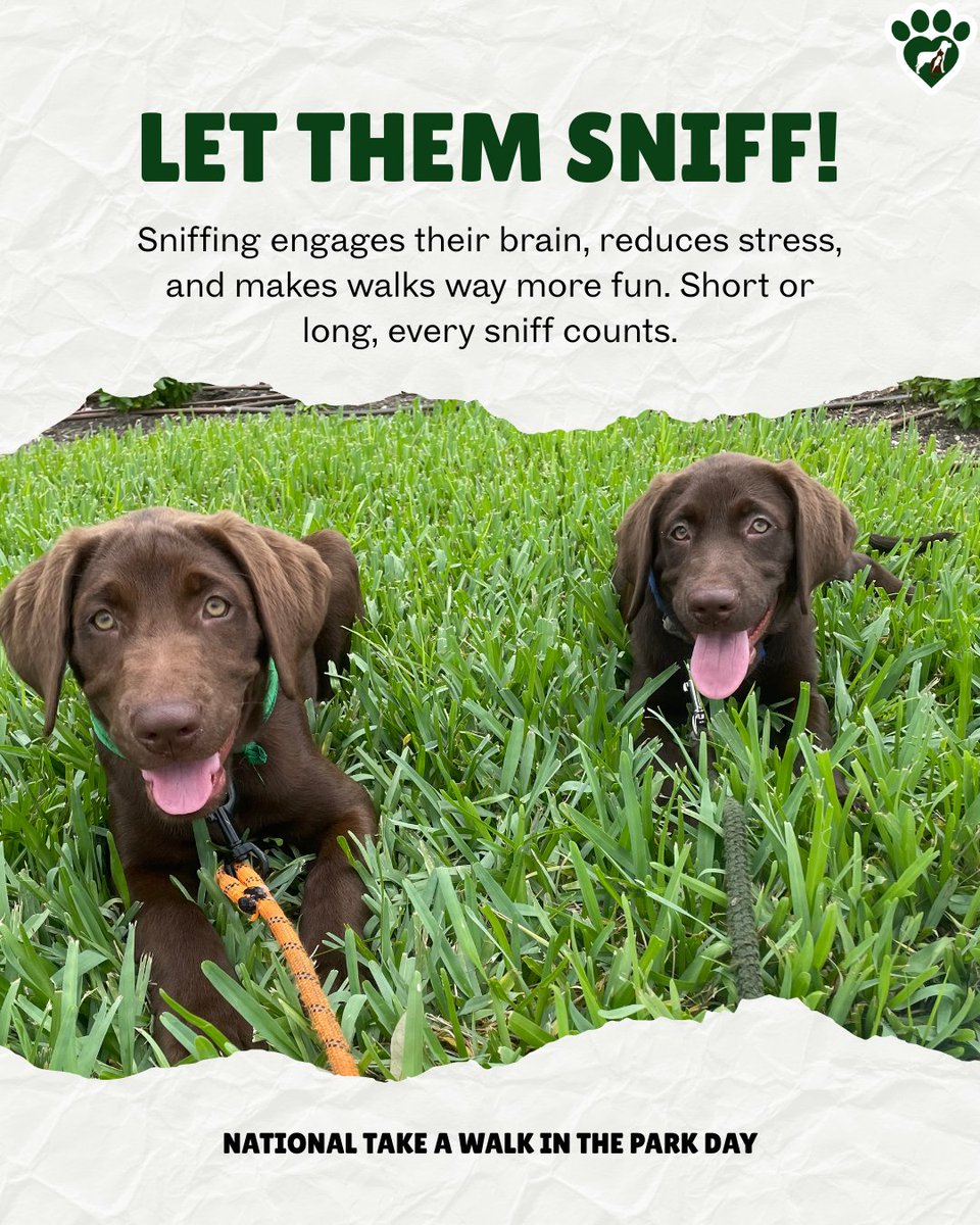 Animal Hosp. Sussex tweet media