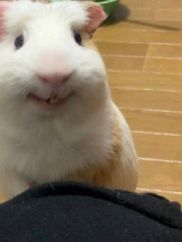 ✧˖히루๓ tweet media