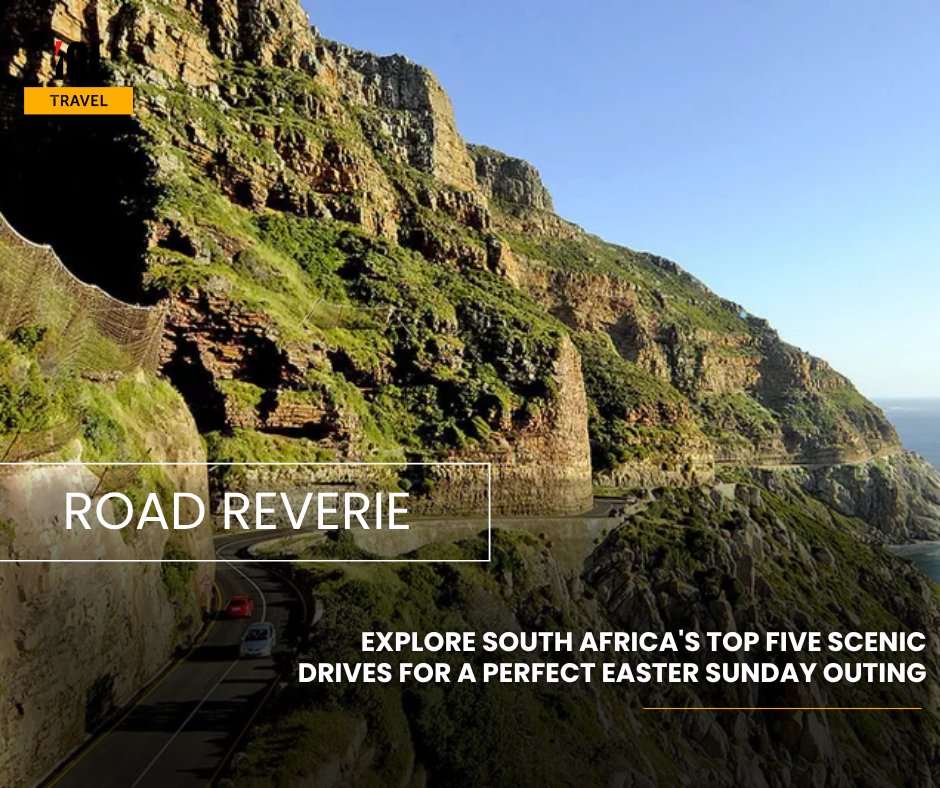 IOLTravel tweet media