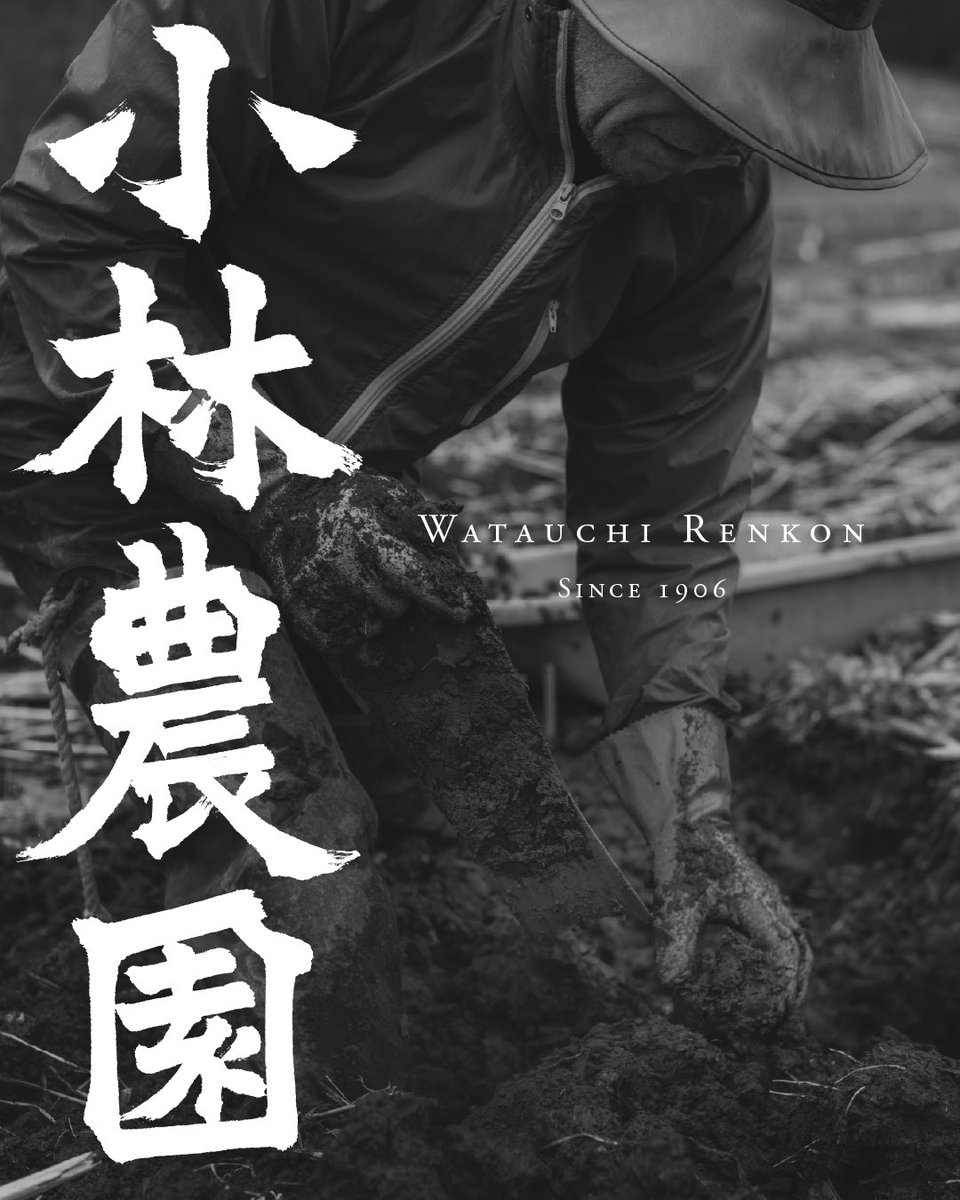 小林誠太｜seee inc. tweet media