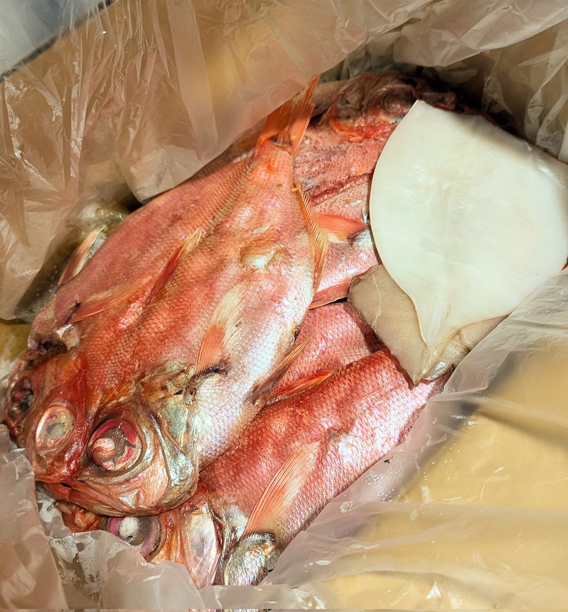 らーめん屋さん tweet media