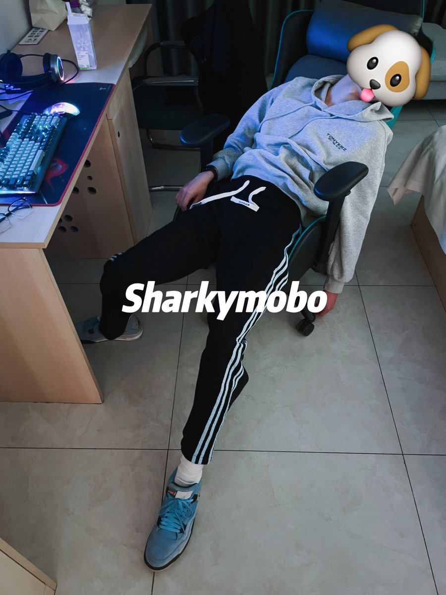 Sharkymobo tweet media
