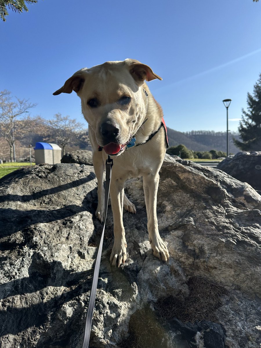 Wolfman John tweet media