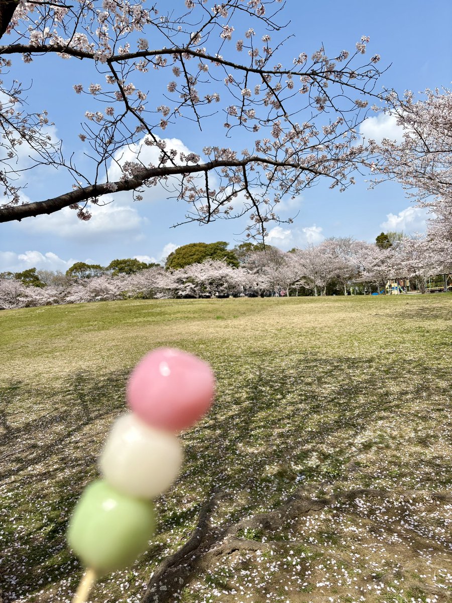 ひとみ☆ tweet media