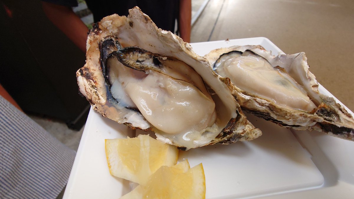 所山吹れみ tweet media