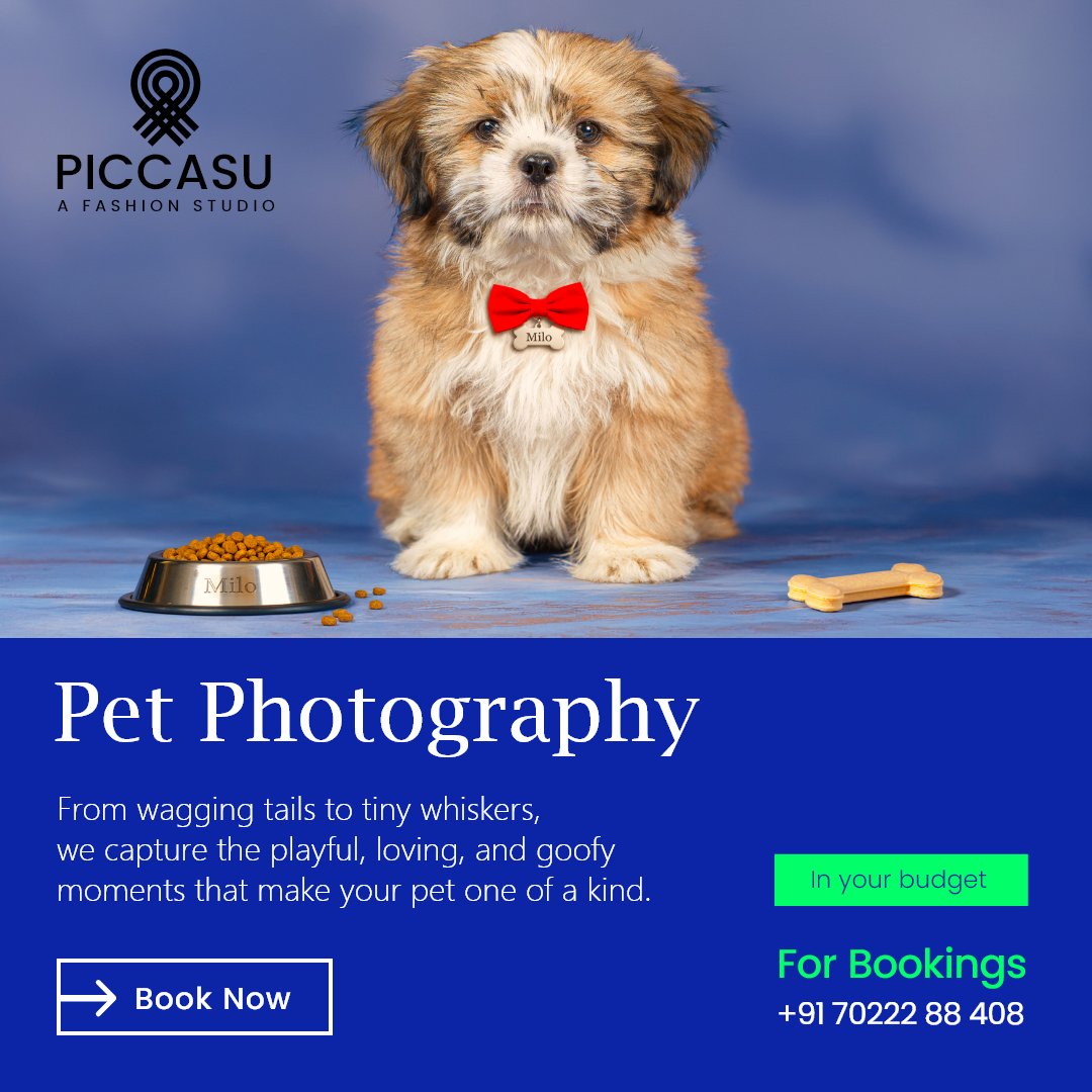 Piccasustudio's tweet photo. Turn your pet’s cutest moments into timeless memories 🐕✨
 Professional pet photography within your budget!
📞 For Bookings: +91 70222 88 408
#PetPhotographyIndia #HyderabadPets #PetShootIndia #DogPhotographyIndia #PetStudioIndia #PetPhotoshootHyderabad #PetCare #PetMoments #Pet https://t.co/6B5lsEeTLZ