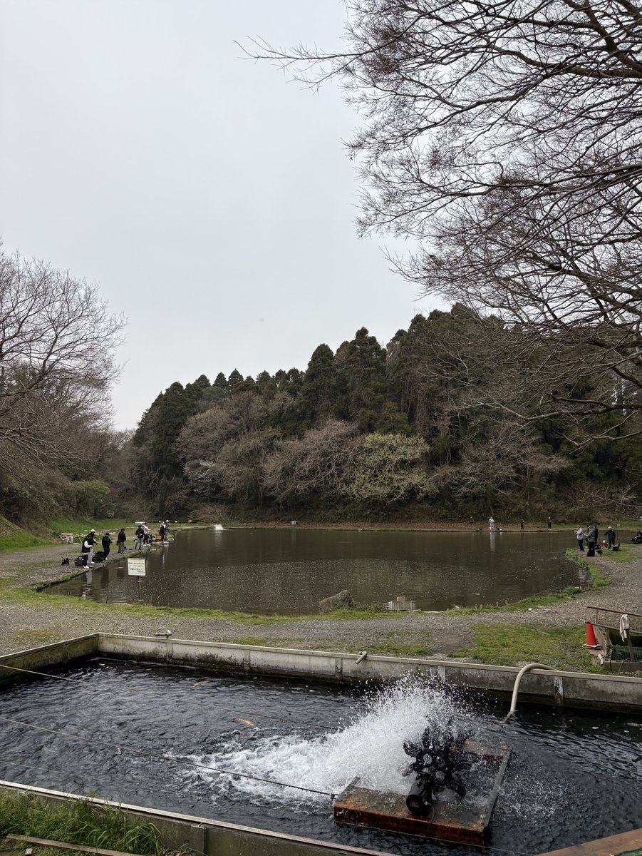 ゆーきん@釣りをする人 tweet media