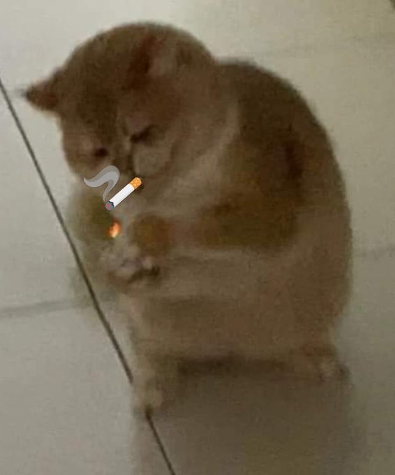 Freakmink0 tweet media