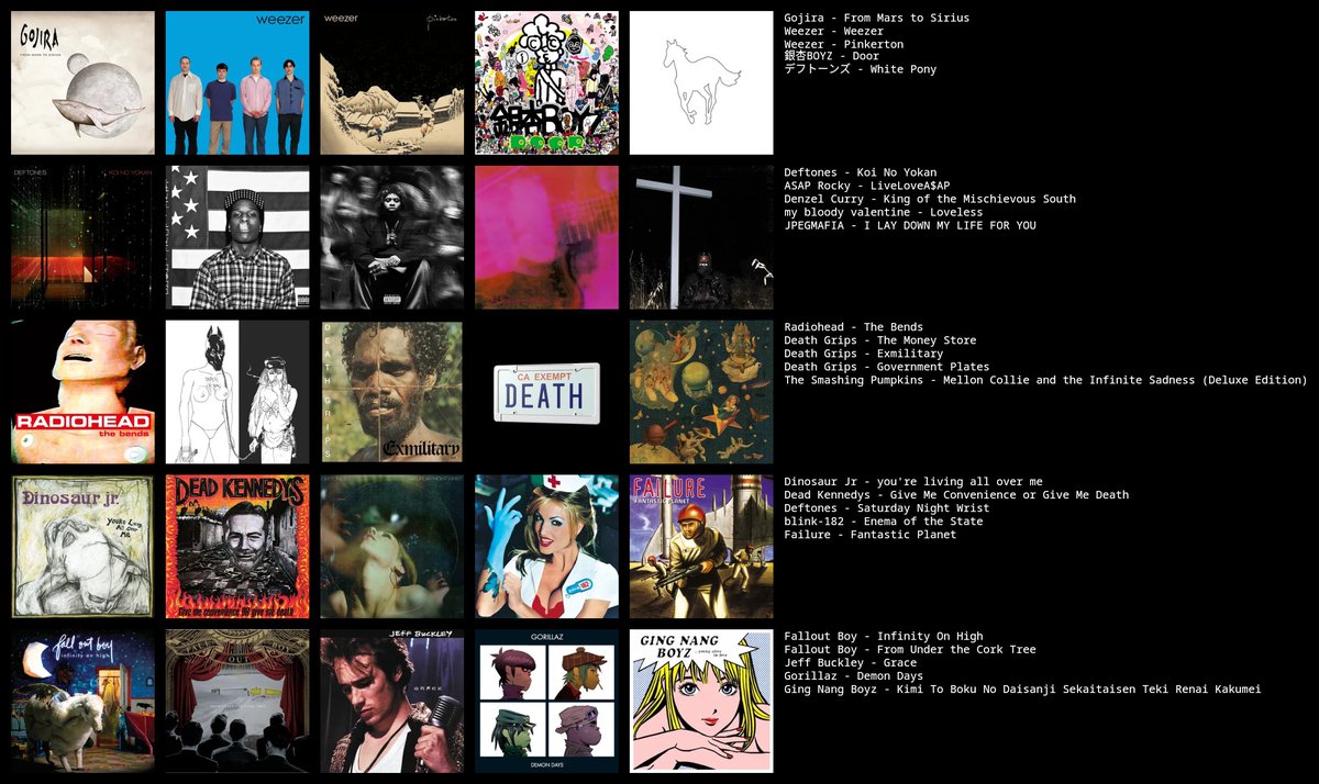 kota 🦈 tweet media