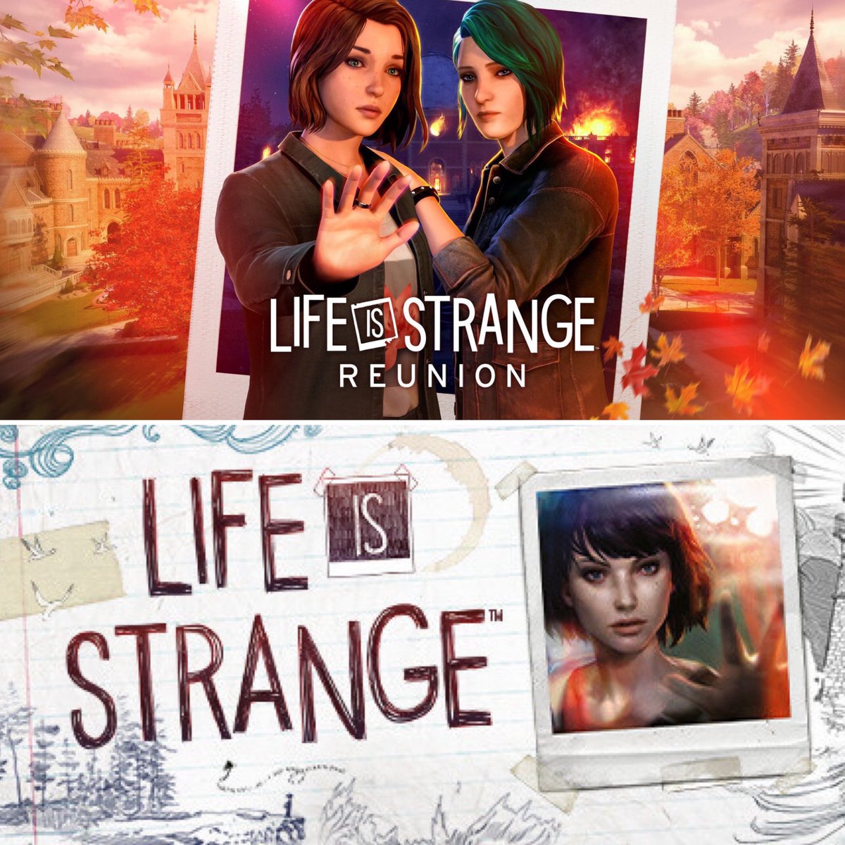 DomTheBomb tweet media