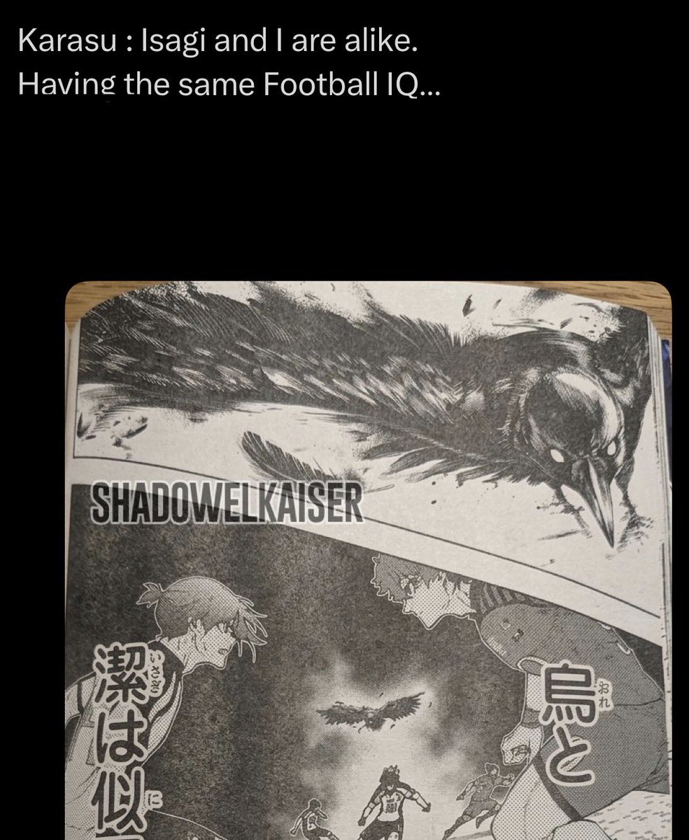 Mari🇬🇪 tweet media