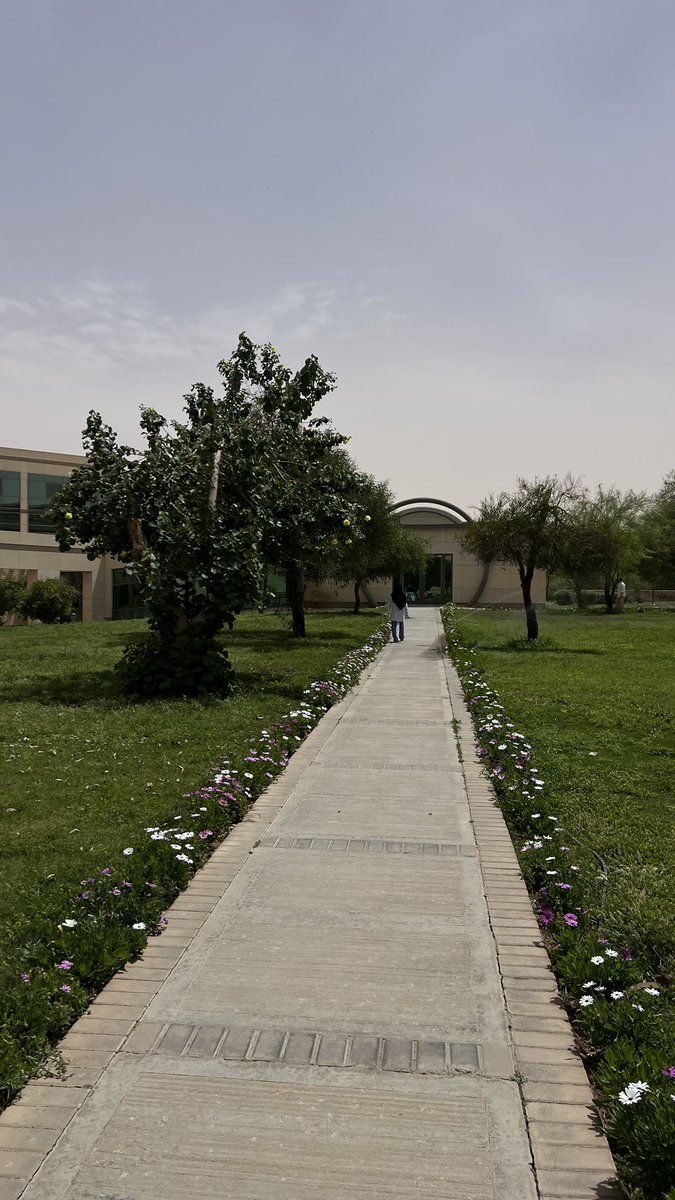 Raghad Alotaibi tweet media