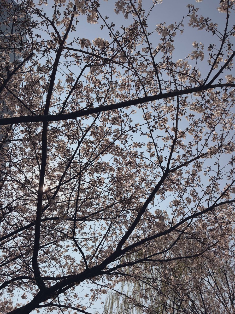 長谷川 敬タ Keita Hasegawa (はっせ) tweet media