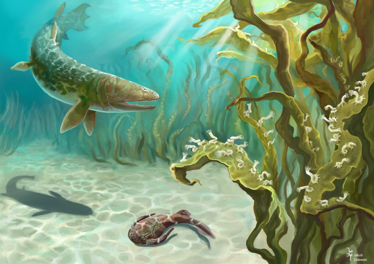 Jakub Zalewski tweet media