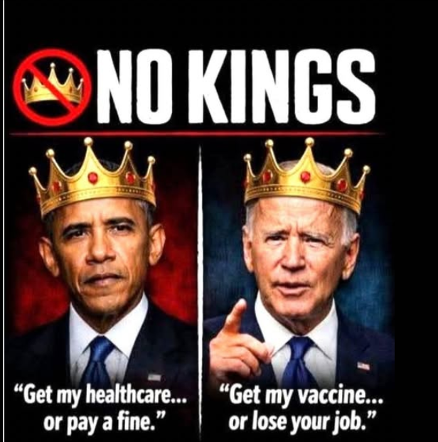 ⭐Tim Lockett ⭐𝕏 tweet media