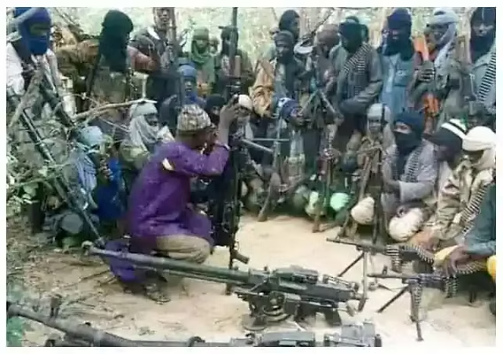 Michael J. Ringer tweet media