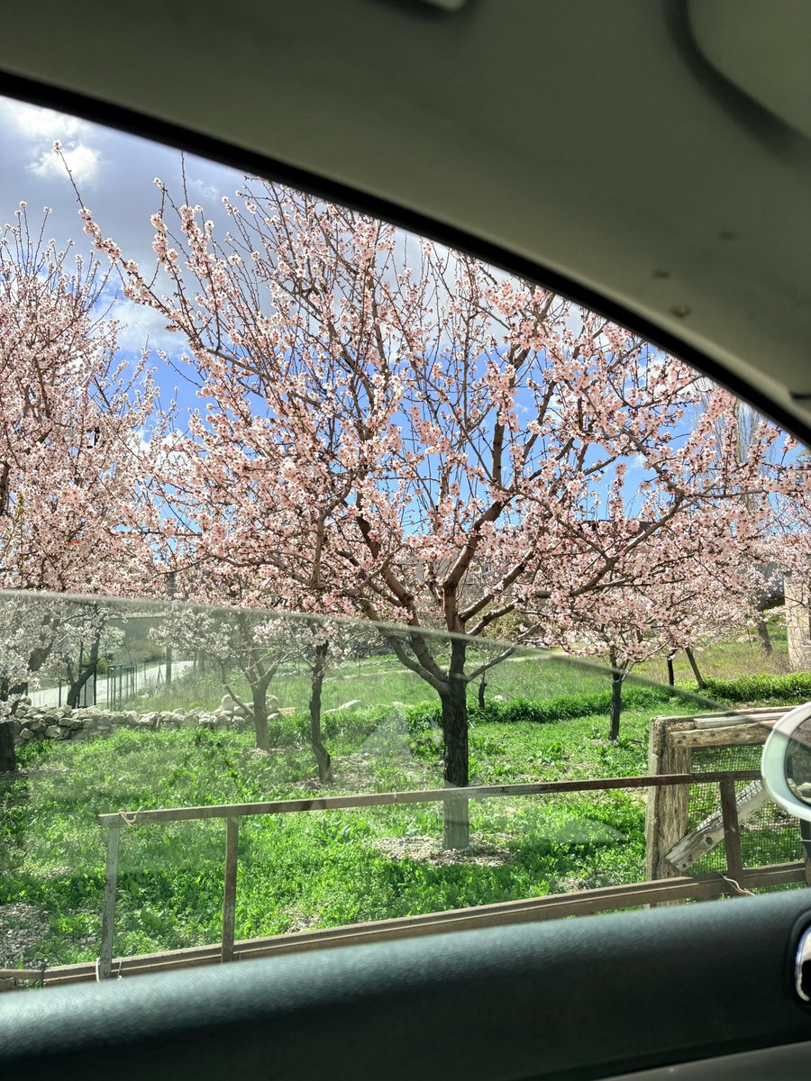 Mevsimlerin hissettirdiği 🍂🍃