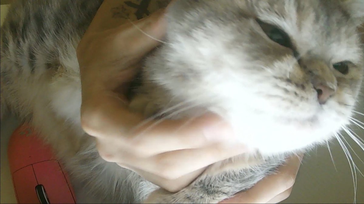 완Zaaa… tweet media