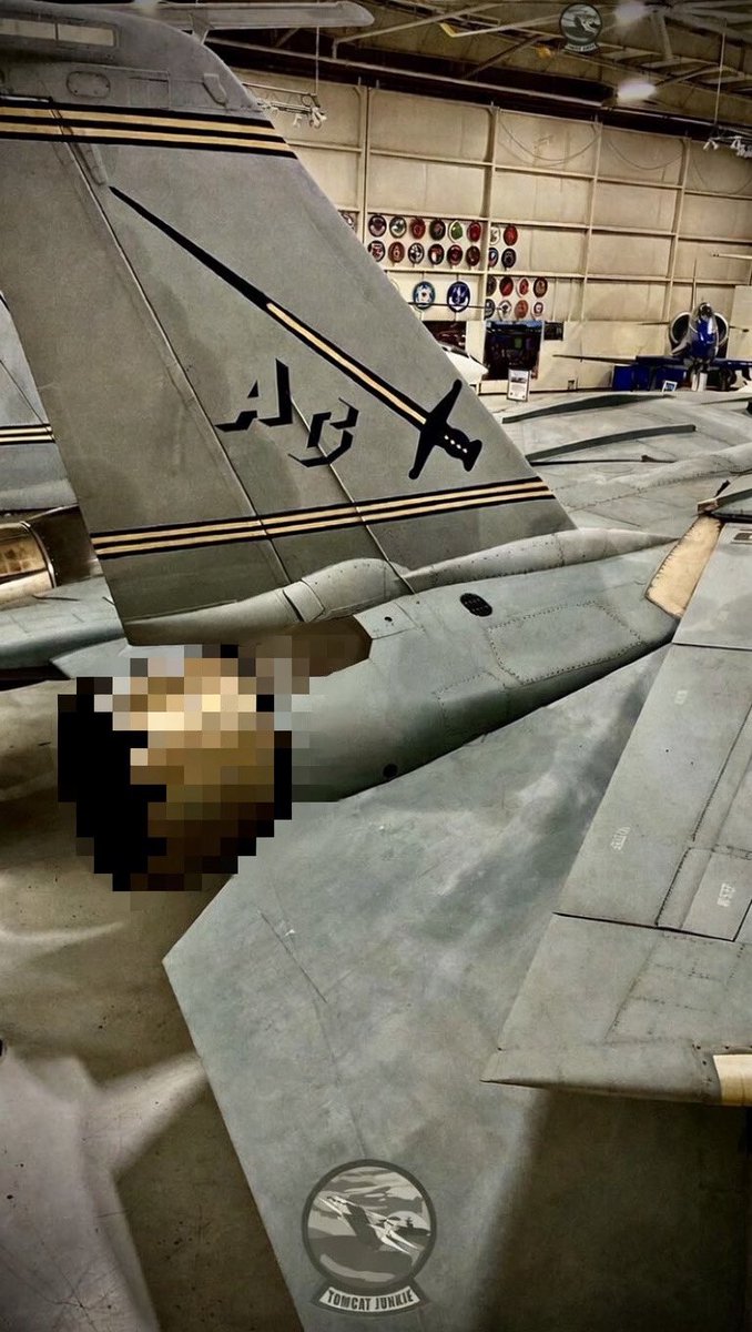 TomcatJunkie🏴‍☠️ tweet media