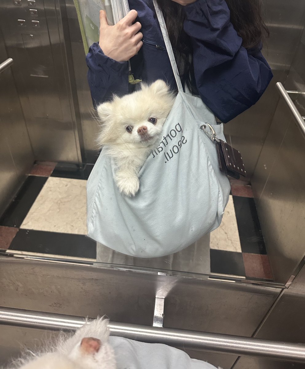 감자구리 tweet media