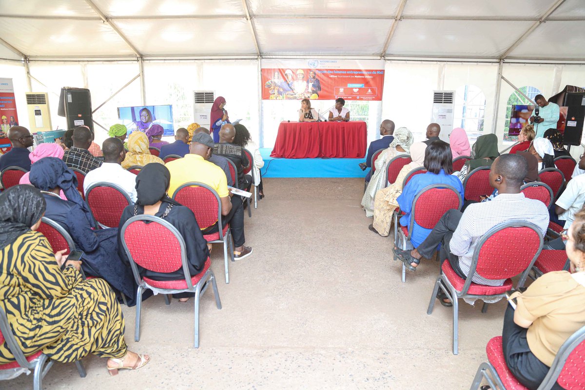 ONU MALI tweet media