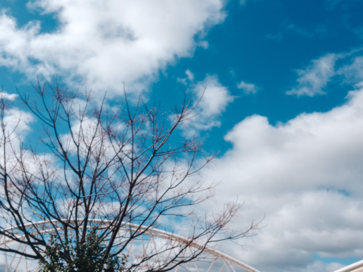 こばさん tweet media