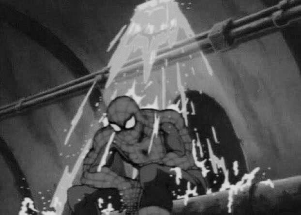 DIŁ4W 🌙 tweet media