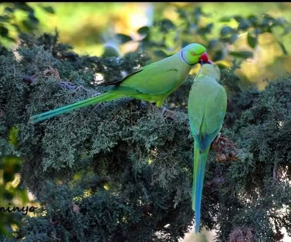 Rachel Rosenberg tweet media