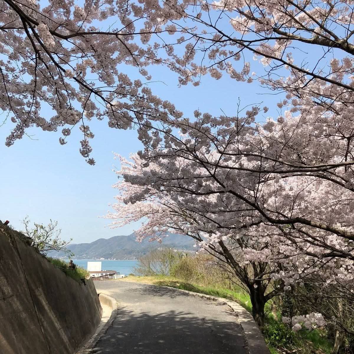 SoraHikari tweet media