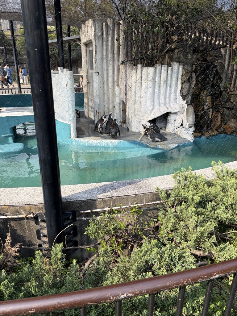 Ran q༼ º﹃º ༽p tweet media