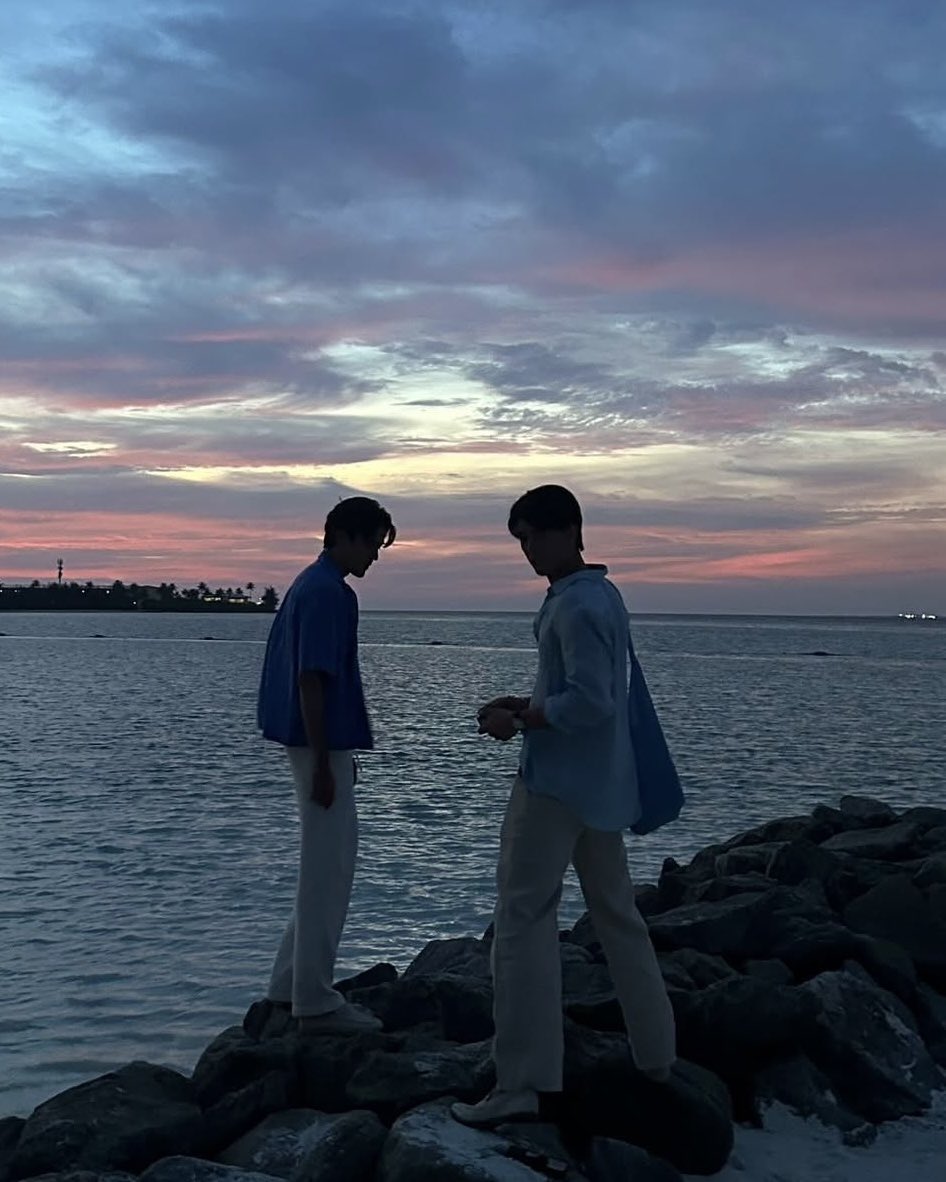 bbrie 🥑 tweet media