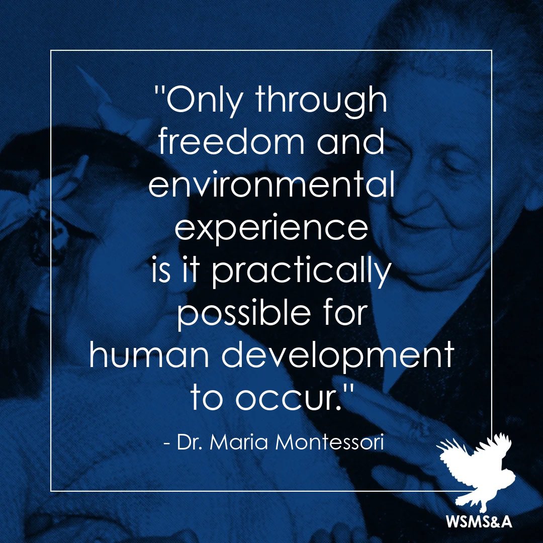 #montessorimonday 

“Only through freedom and environmental experience is it practically possible for human development to occur.”

- Dr. Maria Montessori

#montessorimondays #westseattlemontessori #mariamontessori #montessori #mariamontessoriquotes #mondaymotivation #education