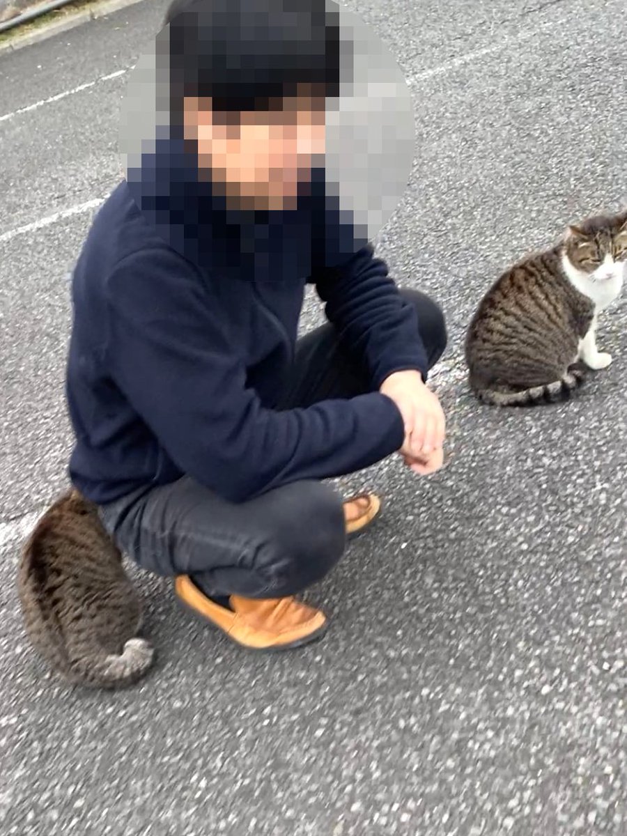 明日からまた雨みたいなので、プチお花見してきました🌸