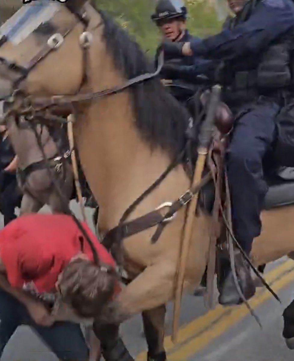 Mercy Flucker tweet media