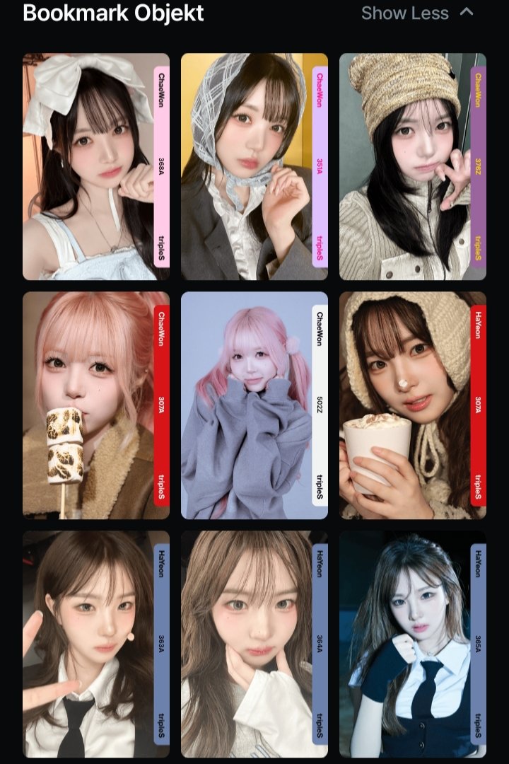 mayor hamu 🐹 tweet media