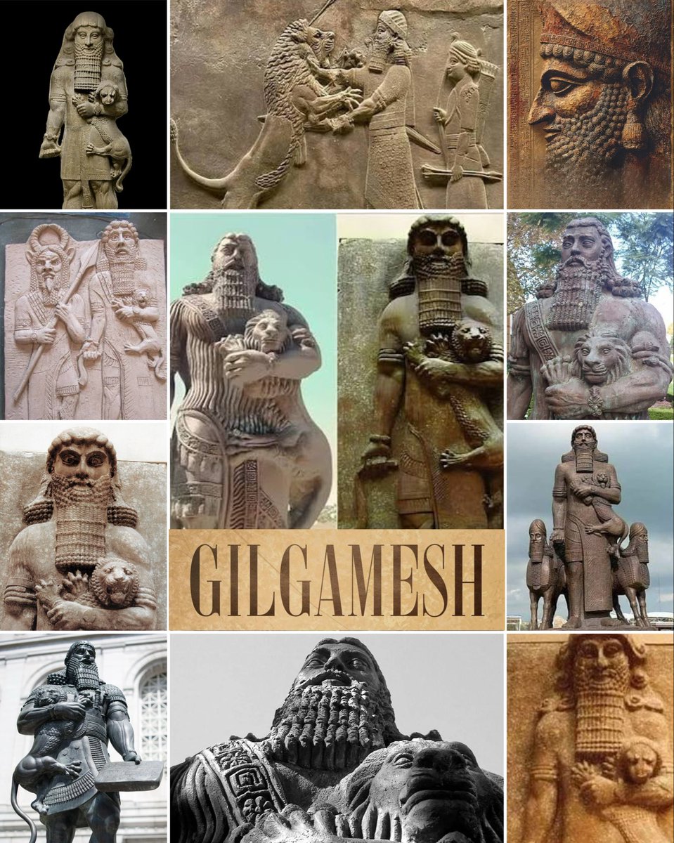 FEAR NO MORE tweet media