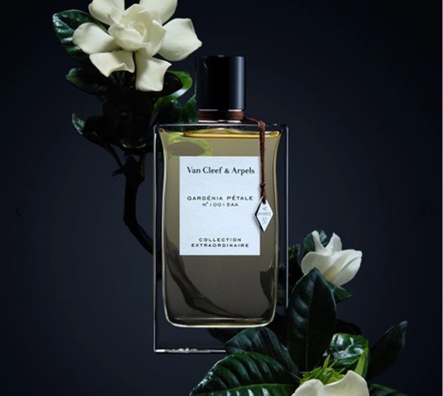 김집사 tweet media