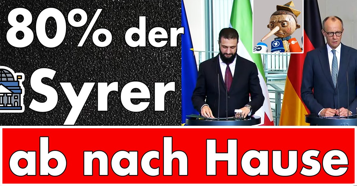 Politik mit Kopf tweet media